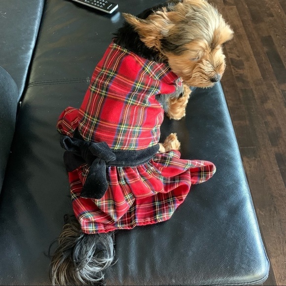 EAST Side Coll. Sm. Breed Dog Plaid Check Red Dress Sz. Med. - Picture 4 of 9